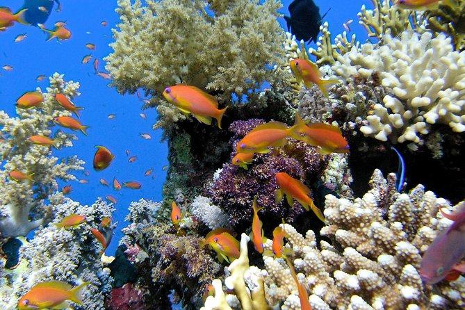 Makena-Wailea Explorer Trip in Maui - Price and value check: what $115 really covers