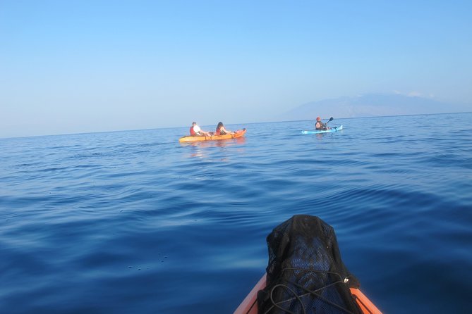 Makena-Wailea Explorer Trip in Maui - Final call: should you book this Makena–Wailea Explorer trip?