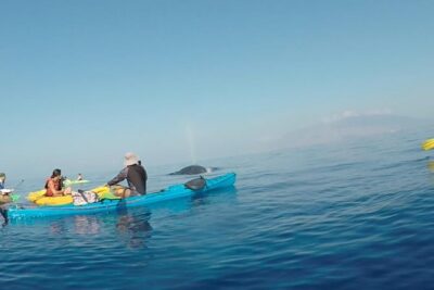 Makena Whale Watching and Snorkel - Makena Landing at 7:00am: early start = better whale odds