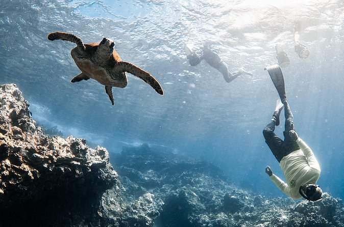 Mala Wharf Lahaina Jet Scooter Snorkeling Small Group with GoPro - Gear and what’s on you vs. what the tour handles