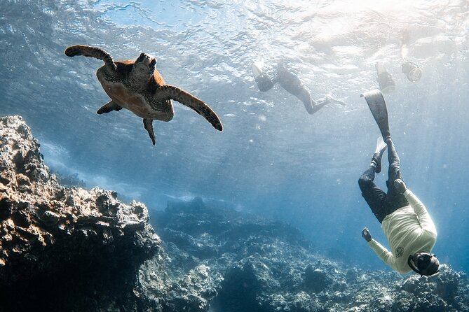 Mala Wharf Lahaina Jet Scooter Snorkeling Small Group with GoPro - Price and value: what $149 buys in 90 minutes