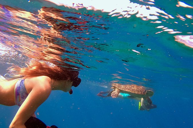 Mala Wharf Lahaina Jet Scooter Snorkeling Small Group with GoPro - Who this tour fits best (and who should rethink it)