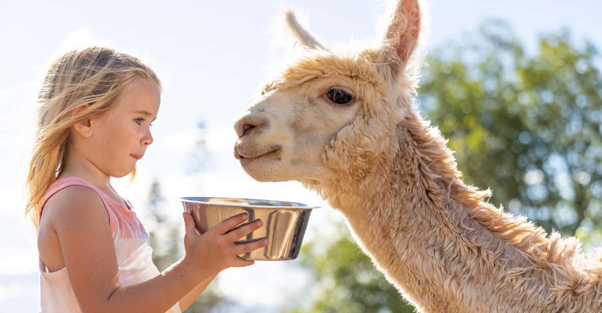 Maui: Alpaca Farm Visit with Hands-On Activities - Your 1-Hour Maui Farm Flow on Haleakalā Slopes