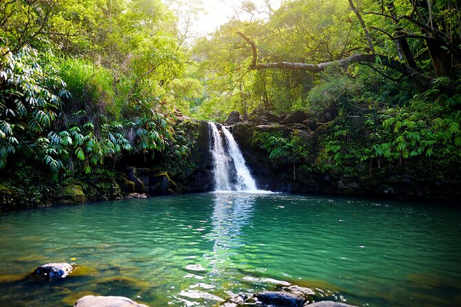 Maui Beach Parks Self-Guided Driving Tour - A Self-Guided Maui Beach Loop That Feels Like a Road Trip, Not a Tour Bus