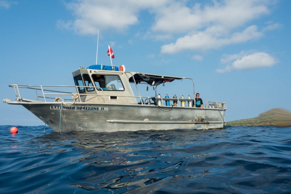 Maui: Beginner Discovery Scuba Dive Excursion from Lahaina - Key highlights to know before you go