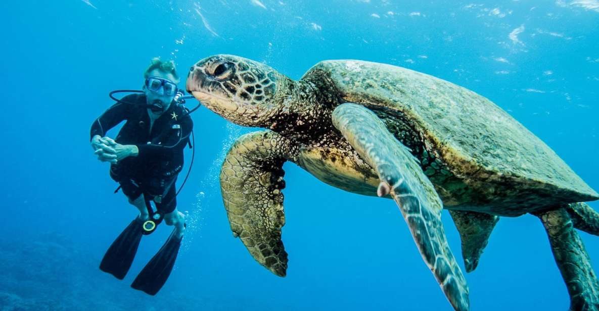 Maui: Beginner Discovery Scuba Dive Excursion from Lahaina - Why a Lahaina beginner scuba session feels easier than you expect