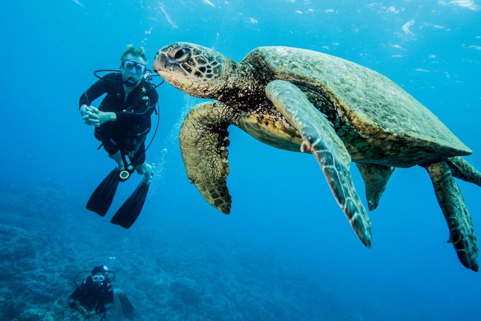 Maui: Beginner Discovery Scuba Dive Excursion from Lahaina - Safety and instruction: why “up to 4 people” is the real value