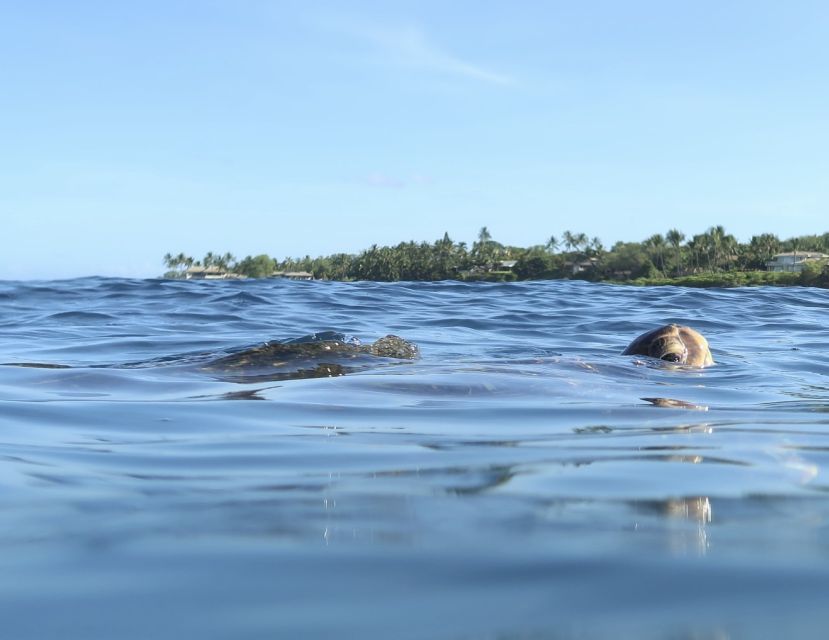 Maui: Beginner Level Private Stand-Up Paddleboard Lesson - Starting at Polo Beach: Soft Sand, Calm Vibes, No Rush