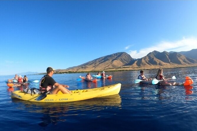 Maui Clear Kayak and Snorkel Tour: Swim with turtles (Olowalu) - Why the 7:30 a.m. Olowalu timing matters for clear water