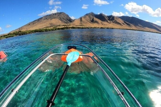 Maui Clear Kayak and Snorkel Tour: Swim with turtles (Olowalu) - Weather, sea conditions, and refunds you can actually plan around