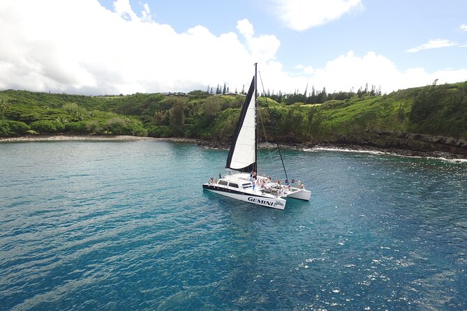 Maui: Coast of Ka'anapali Beach Sunset Dinner Sail - Dinner buffet: what’s included, and how to set expectations