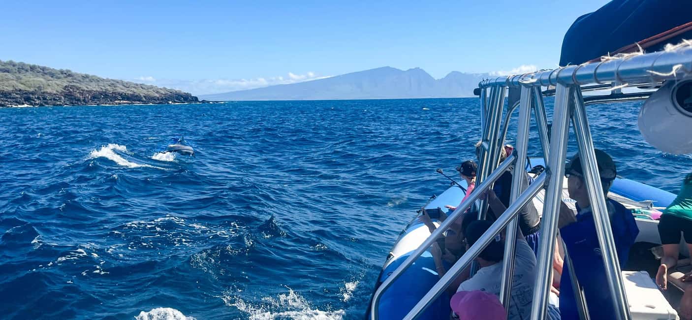 Maui: Eco-Raft Dolphin Watch Tour with Snacks - Key highlights worth knowing