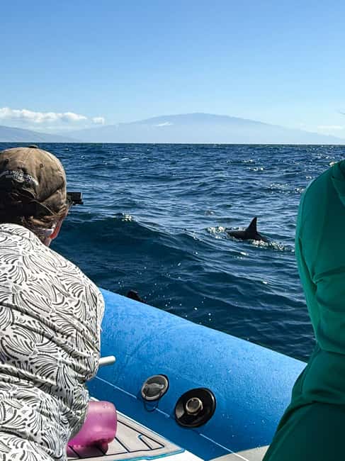 Maui: Eco-Raft Dolphin Watch Tour with Snacks - The On-Board Naturalists: Facts, Stories, and Easy Questions