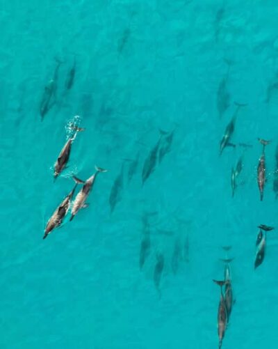 Maui: Eco-Raft Dolphin Watch Tour with Snacks - Eco-Raft Scenery: What You’ll See While You Look for Dolphins
