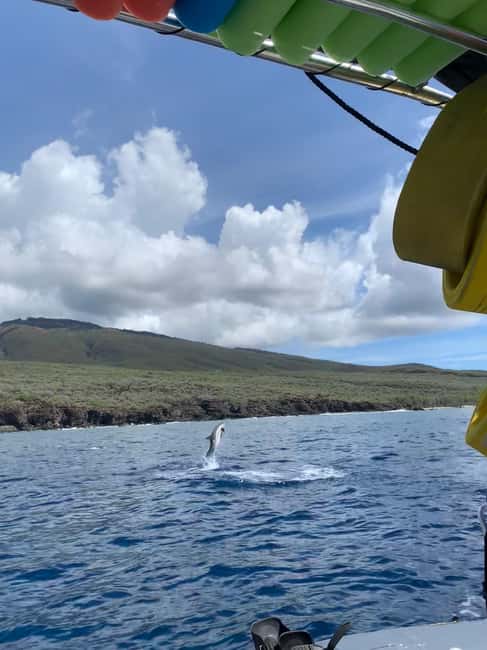 Maui: Eco-Raft Dolphin Watch Tour with Snacks - How the No-Swim Rules Affect Your Experience (In a Good Way)