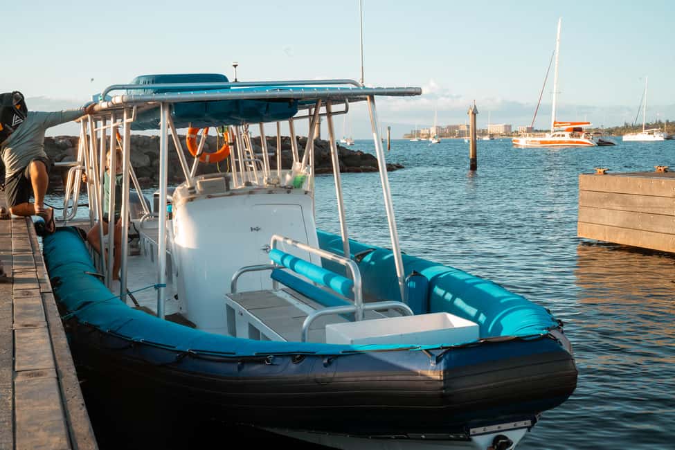 Maui: Eco-Raft Dolphin Watch Tour with Snacks - Value and Price: Is $96 Worth It?