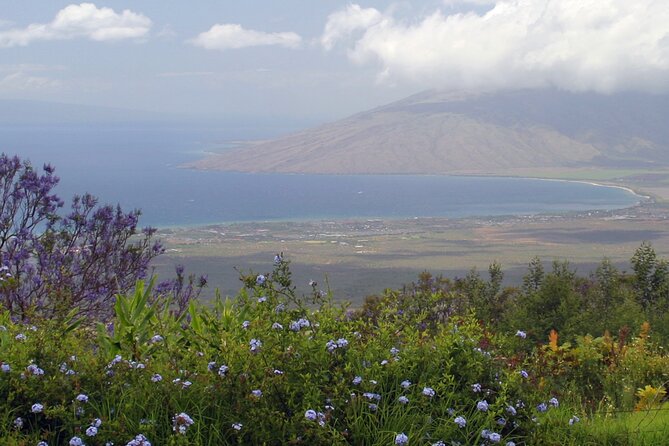 Maui Farm Distillery and local craft experience Full-Day Tour - Getting picked up: where the tour starts and how small it is