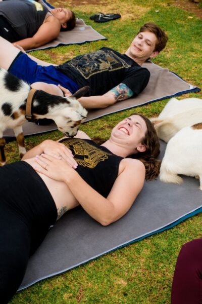 Maui Goat Yoga with Miniature Goats - The 90 Minutes: How the Maui Session Really Flows