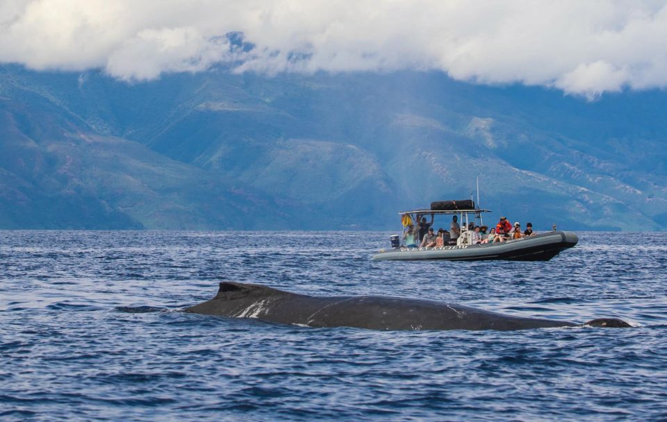 Maui: Guided Whale Watching Tour on Eco Raft - Marine Naturalists On Board: What You Hear From Val and Jill