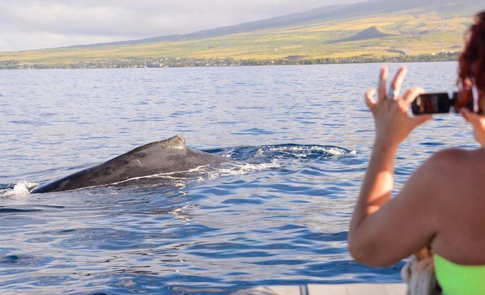 Maui: Guided Whale Watching Tour on Eco Raft - Snacks and Comfort: Pastries, Fruit, and Maui-Style Chips