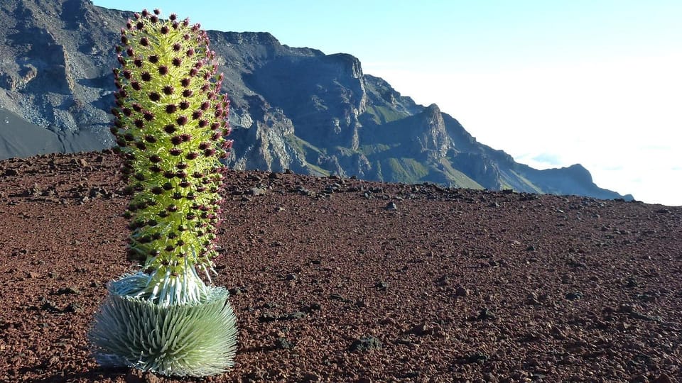 Maui: Haleakala Sunrise Tour with Pick-up - Comfort and Practical Extras You’ll Appreciate