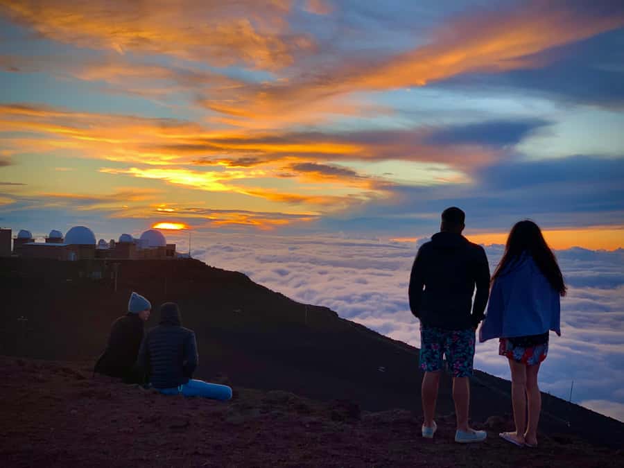 Maui: Haleakala Sunset Tour with Snacks and Photos - Silverswords at the visitor area: why this park feels extra protected