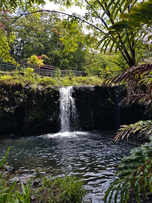 Maui: Halfway to Hana Black Sand Beach & Turtles Tour - Key things I’d plan around before you go