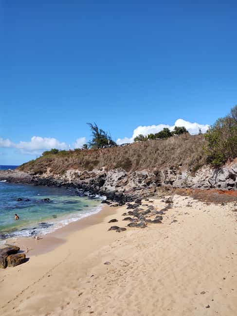 Maui: Halfway to Hana Black Sand Beach & Turtles Tour - Getting picked up and why the 70 E Kaahumanu start is convenient
