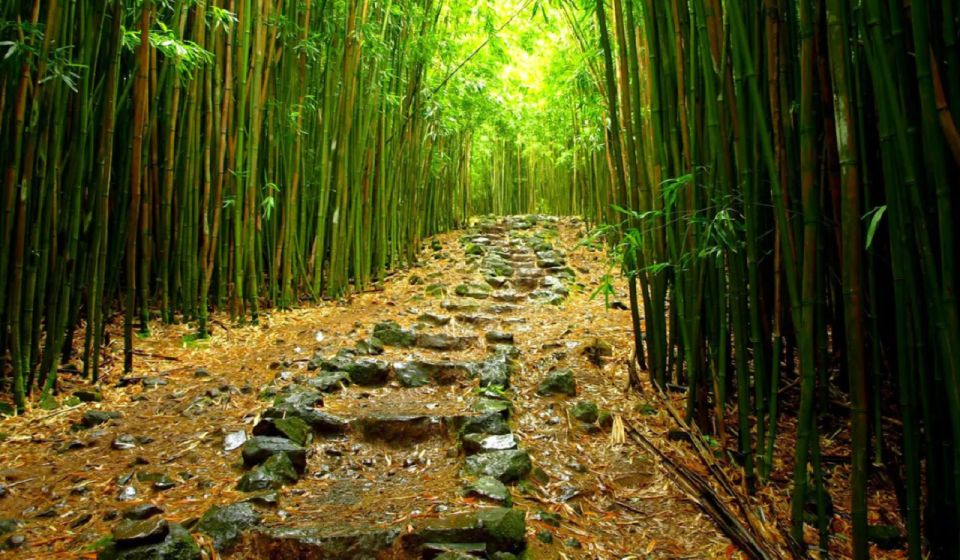 Maui: Hana Hiking Tour with Lunch - Lunch on the trail: picnic food, snacks, and what you’ll want to pack