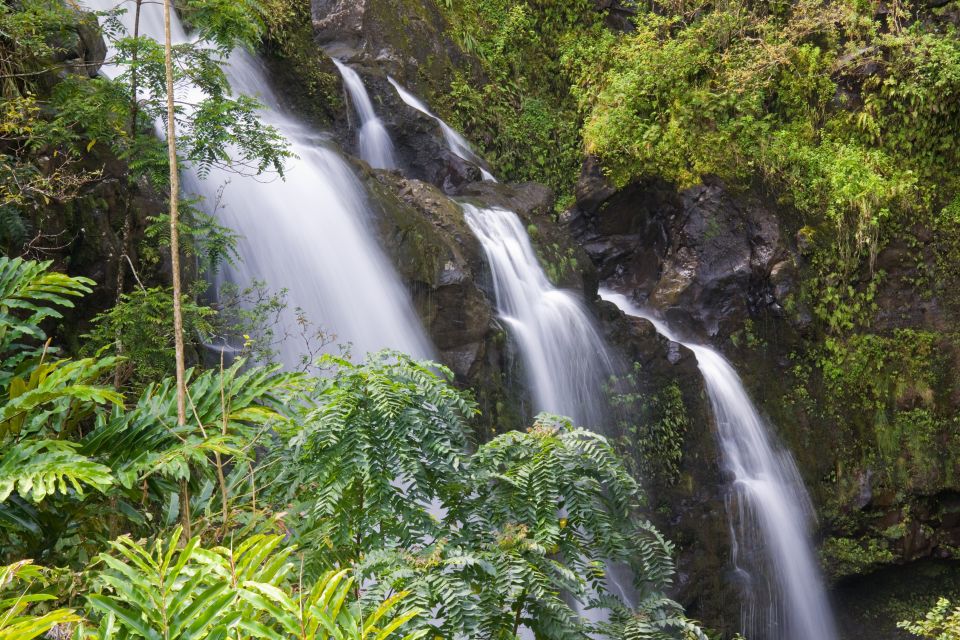 Maui: Heavenly Hana Full-Day Excursion from Kahului - Road to Hana coach day: the real reason this works