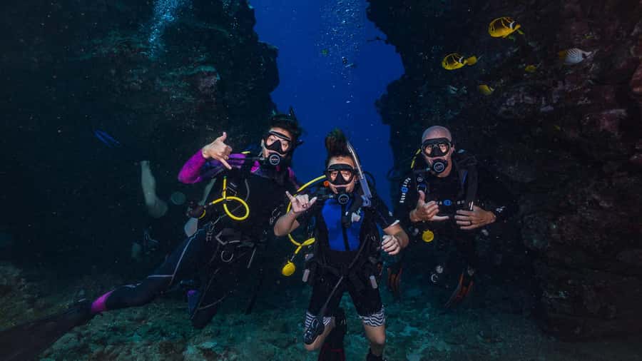 Maui: Intro to Scuba Diving from Shore - Lahaina - Quick Practical Tips Before You Go