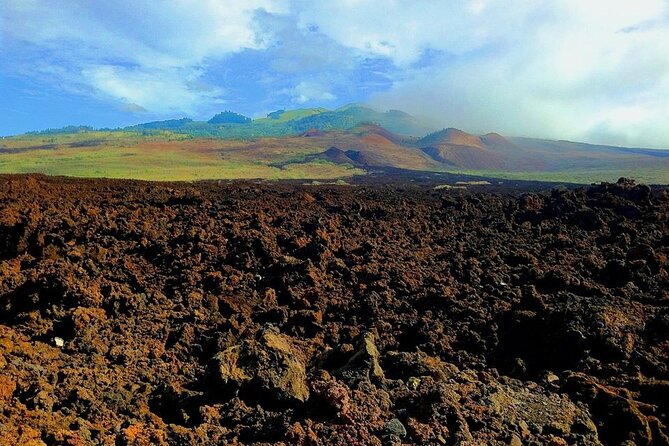 Maui Island Private Day Tour - Stop by Stop: How Each Maui Stop Fits the Day