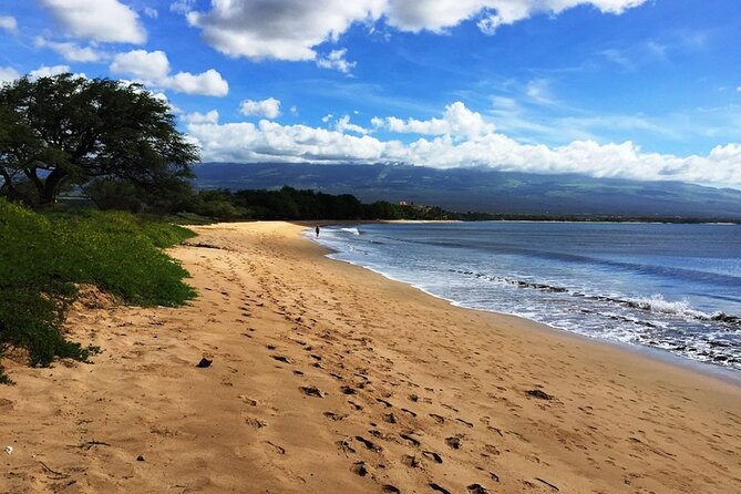 Maui Island Private Day Tour - Guide Quality: The Difference Between Rushed and Right