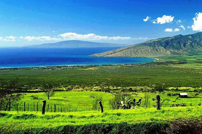 Maui Island Private Day Tour - Transfers, Comfort, and Small Touches That Add Up