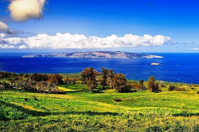 Maui Island Private Day Tour - Your Day Starts at 8:00 am (and Why That’s Helpful)