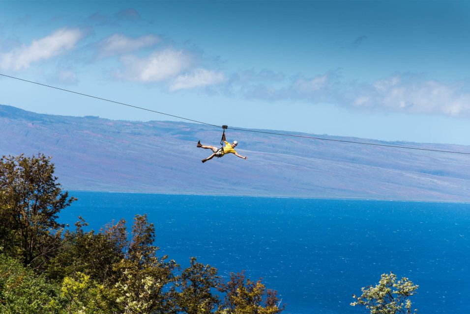 Maui: Ka'anapali 8 Line Zipline Adventure - Key points to know before you commit