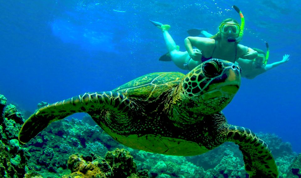 Maui: Kaanapali Beach 4-hour Snorkel w/ BBQ Lunch & Open Bar - The morning flow: breakfast, sail-out, and finding the right water