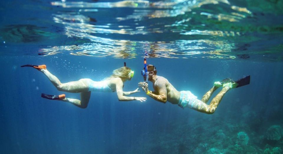 Maui: Kaanapali Beach 4-hour Snorkel w/ BBQ Lunch & Open Bar - Should you book the Maui Kaanapali Snorkel with BBQ Lunch and Open Bar?