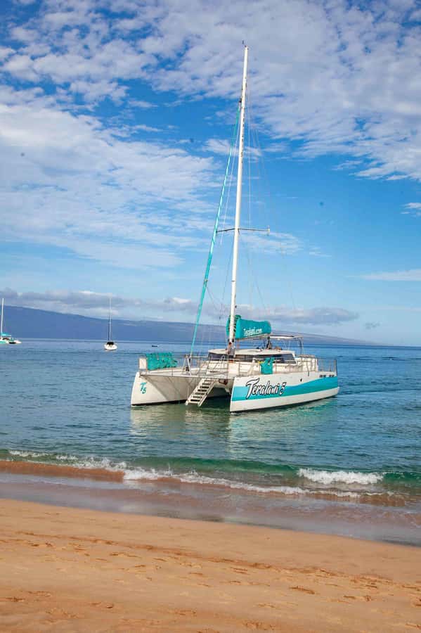 Maui: Ka'anapali Discount Whale Watch - Beach Loading Vessel - Meeting Point, Parking, and Pre-Board Tips That Save Time