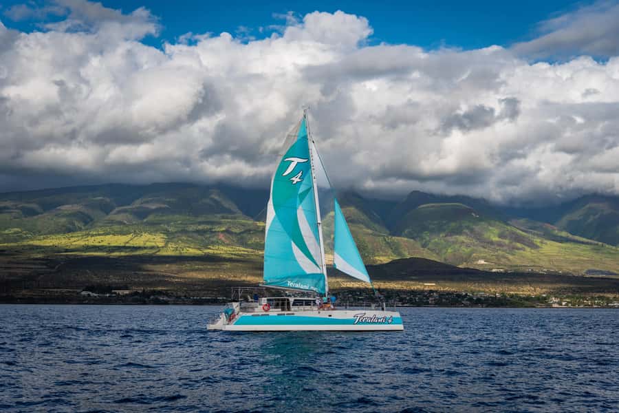 Maui: Kaanapali Whale Watching Boat with Open Bar and Food - What to bring (so you’re comfortable, not distracted)