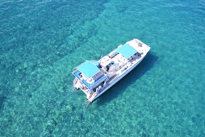 Maui Magic Adventure Snorkel: Molokini Crater and Turtle Stop - Crew and service: names people remember for a reason