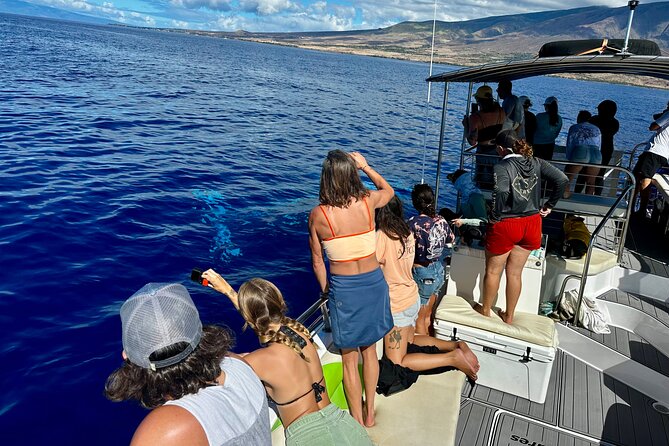 Maui Mid Day Magic Whale Watch - Cruise overview: what you’ll see while the crew searches