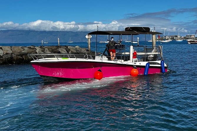 Maui Mid Day Magic Whale Watch - What the crew does for safety (and why it affects your experience)