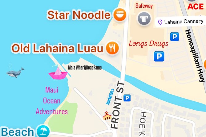 Maui Mid Day Magic Whale Watch - The mid-day timing: why 11:10 am can be magical