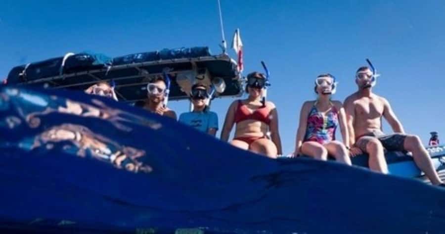 Maui: Molokini Crater and Turtle Town Snorkeling Tour - 3 hr - The Smart Part: Why a Smaller Molokini Boat Changes Everything