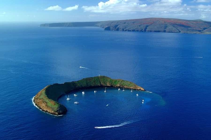 Maui: Molokini Express Snorkeling Tour - 2 hours - Getting geared up: your comfort starts before you hit the water