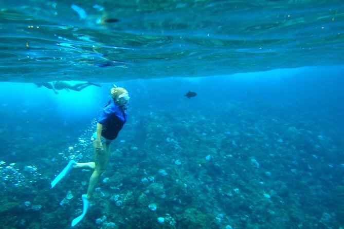 Maui: Molokini & Turtle Town Snorkel & Waterslide Adventure - Price and value: what you’re paying for at $196.88