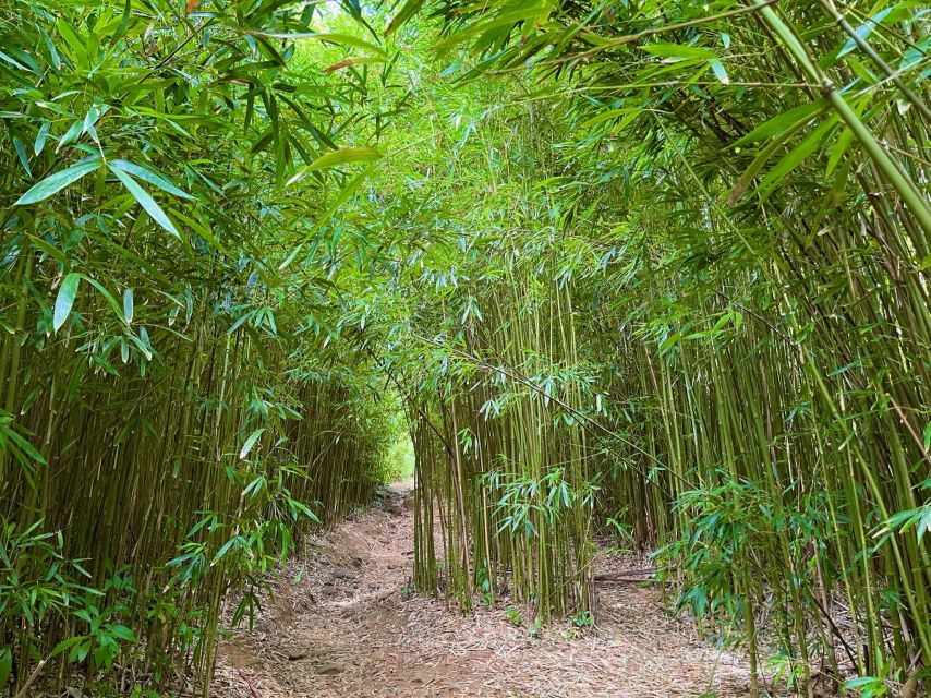 Maui: Private All-Inclusive Road to Hana Tour with Pickup - Who should book this private Road to Hana tour?
