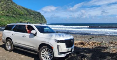 Maui: Private All-Inclusive Road to Hana Tour with Pickup - Rainbow eucalyptus, bamboo forests, and sea turtles: the jungle stops that make the day feel alive