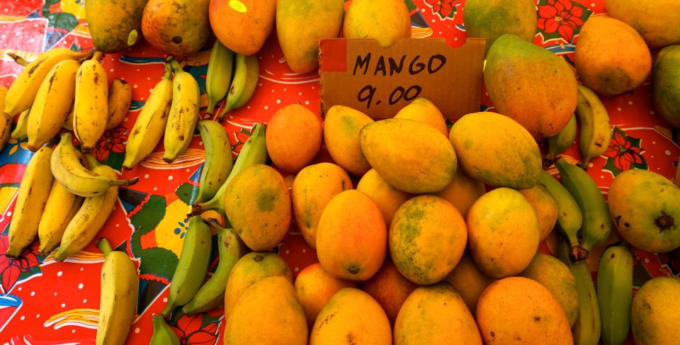 Maui: Private Guided Halfway to Hana Tour - Agricultural Basin, Paʻia, and the Route That Sets the Tone